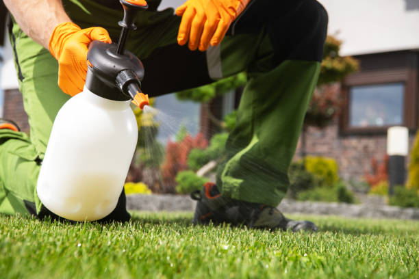 Best Pest Prevention Services  in Universal City, TX