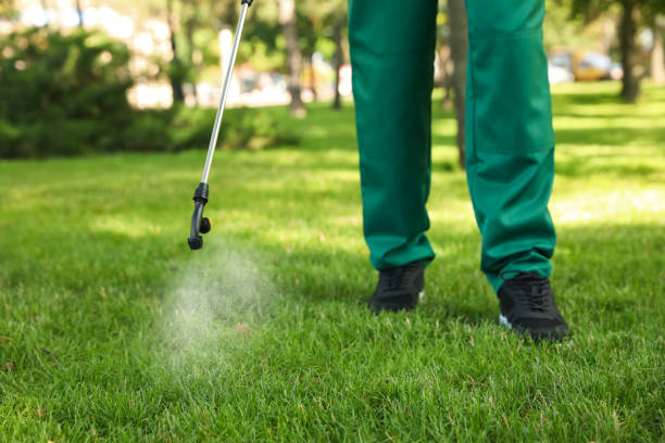 Best Local Pest Control Services  in Universal City, TX