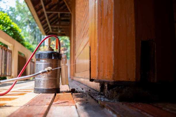 Best Pest Removal Services  in Universal City, TX
