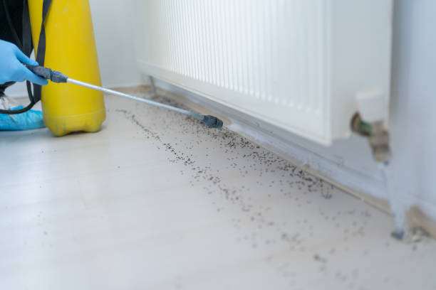  Universal City, TX Pest Control Pros