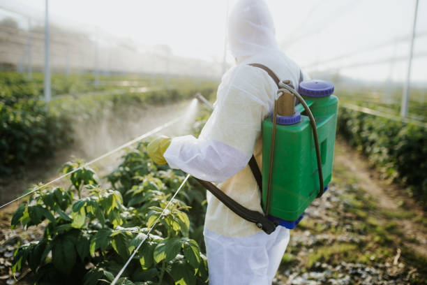 Best Insect Control  in Universal City, TX